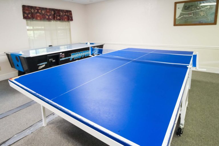 Photo of the Game Room with a Tennis Table and an Ice Hockey